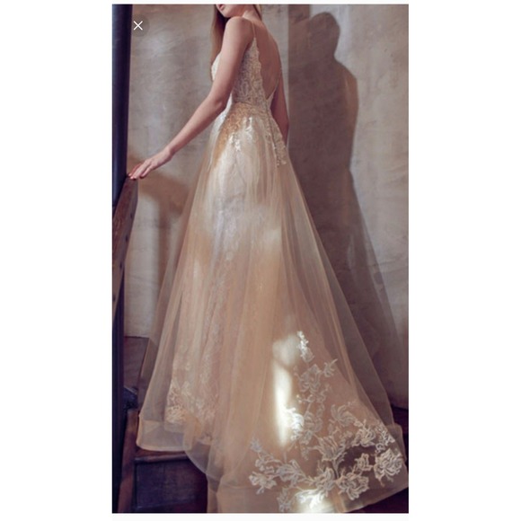 Juliet Collection Wedding Dress 249 4XL - Picture 4 of 12